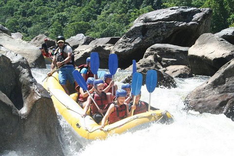 Barron River Half-Day White Water Rafting From Cairns - Accommodation Brunswick Heads 3
