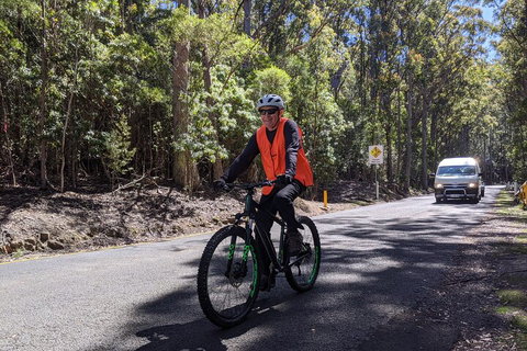 Mount Wellington Descent Cycling Tour Departs Hobart - Accommodation Brunswick Heads 3