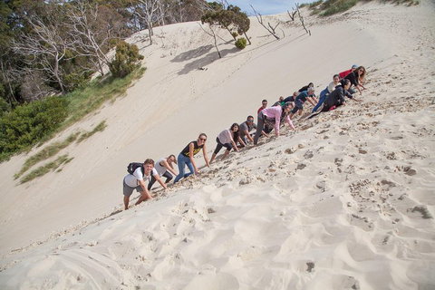 6-Day Tasmanian Explorer Adventure Tour From Hobart - Accommodation Brunswick Heads 2
