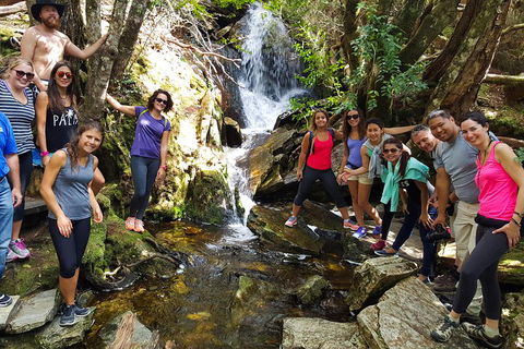 7-Day Super Value Tour Of Tasmania: Explore Tasmania's West And East Coasts - Accommodation Brunswick Heads 2