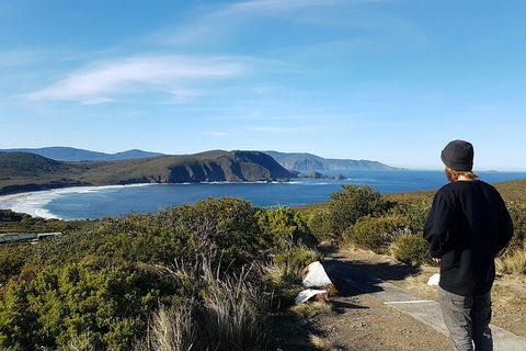 4-Day Fabulous Tasmania Tour: Wineglass Bay, Port Arthur, Devils & Bruny Island - Accommodation Brunswick Heads 0