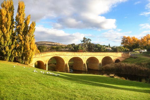 4-Day Fabulous Tasmania Tour: Wineglass Bay, Port Arthur, Devils & Bruny Island - Accommodation Brunswick Heads 1