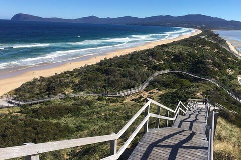 4-Day Fabulous Tasmania Tour: Wineglass Bay, Port Arthur, Devils & Bruny Island - Accommodation Brunswick Heads 5