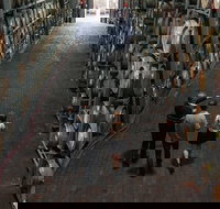 Wirra Wirra Vineyard McLaren Vale Winery Tour and Shiraz Masterclass - Accommodation Brunswick Heads