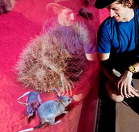 Alice Springs Desert Park General Entry Ticket - Accommodation Brunswick Heads