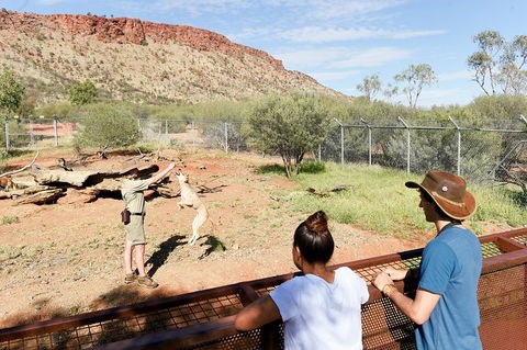 Alice Springs Desert Park General Entry Ticket - Accommodation Brunswick Heads 4