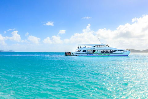 Whitehaven Beach And Daydream Island Cruise - Accommodation Brunswick Heads 2