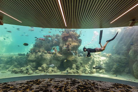 Whitehaven Beach And Daydream Island Cruise - Accommodation Brunswick Heads 4