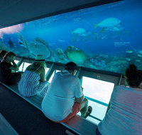 Great Barrier Reef Day Cruise to Reefworld - Accommodation Brunswick Heads