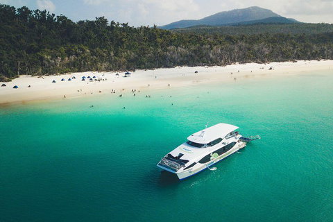 Whitehaven Beach Half-Day Cruises - Accommodation Brunswick Heads 2