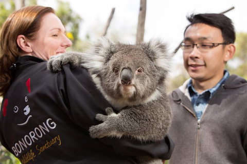 Bonorong Wildlife Park And Richmond Afternoon Tour From Hobart - Accommodation Brunswick Heads 0
