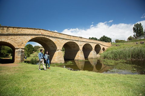Bonorong Wildlife Park And Richmond Afternoon Tour From Hobart - Accommodation Brunswick Heads 2
