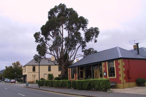 Bonorong Wildlife Park And Richmond Afternoon Tour From Hobart - Accommodation Brunswick Heads 3