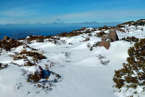 Mount Wellington Ultimate Experience Tour From Hobart - Accommodation Brunswick Heads 1