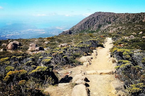 Mount Wellington Ultimate Experience Tour From Hobart - Accommodation Brunswick Heads 5