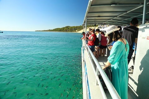 Adventure Moreton Island Wrecks Adventure Package - Accommodation Brunswick Heads 1