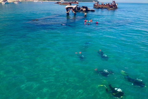 Adventure Moreton Island Scuba Dive Tour - Accommodation Brunswick Heads 0