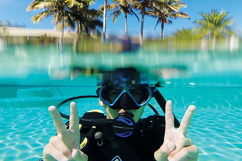 Adventure Moreton Island Scuba Dive Tour - Accommodation Brunswick Heads 2