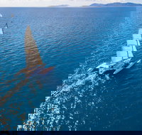 2-Night Whitsunday Islands Sailing Adventure on Trimaran Avatar - Accommodation Brunswick Heads