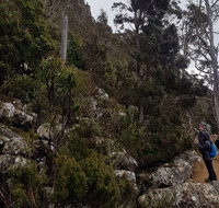 kunanyi / Mt. Wellington Guided Hiking Tour - Accommodation Brunswick Heads