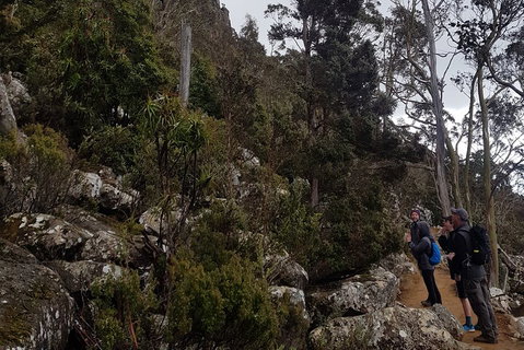 Kunanyi / Mt. Wellington Guided Hiking Tour - Accommodation Brunswick Heads 0