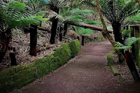 Kunanyi / Mt. Wellington Guided Hiking Tour - Accommodation Brunswick Heads 1