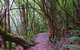 Kunanyi / Mt. Wellington Guided Hiking Tour - thumb 2