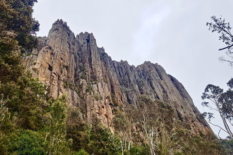Kunanyi / Mt. Wellington Guided Hiking Tour - Accommodation Brunswick Heads 4