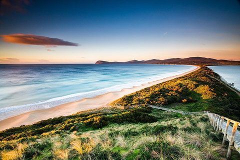 Full-Day Guided Bruny Island Tour From Hobart - Accommodation Brunswick Heads 2