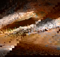 Windjana Explorer - Accommodation Brunswick Heads