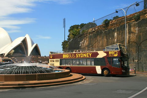 Big Bus Sydney And Bondi Hop-on Hop-off Tour - Accommodation Brunswick Heads 3