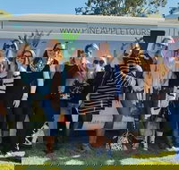 Full Day Mount Tamborine Winery Tour from Gold Coast - Accommodation Brunswick Heads