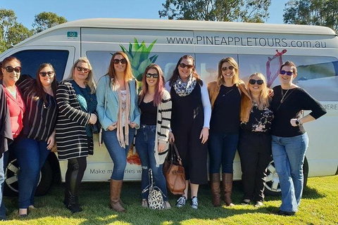 Full Day Mount Tamborine Winery Tour From Brisbane - Accommodation Brunswick Heads 1