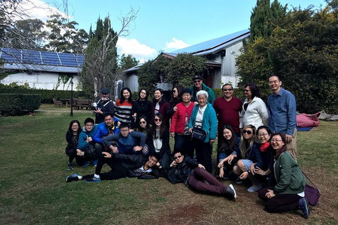 Full Day Mount Tamborine Winery Tour From Brisbane - Accommodation Brunswick Heads 2