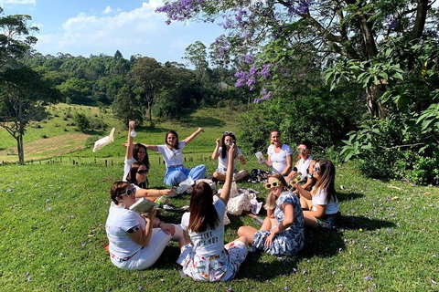 Full Day Mount Tamborine Winery Tour From Brisbane - Accommodation Brunswick Heads 4