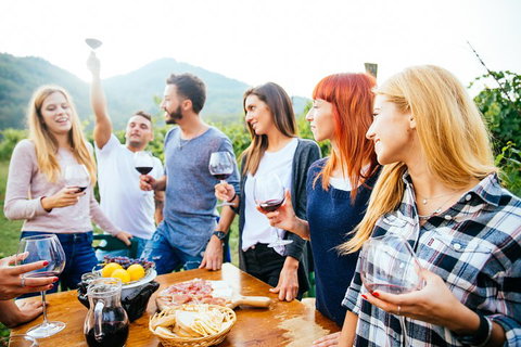 Full Day Mount Tamborine Winery Tour From Brisbane - Accommodation Brunswick Heads 5