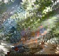 Mossman Gorge Adventure Day - Accommodation Brunswick Heads
