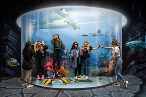 ArtVo Immersive Gallery Experience - Accommodation Brunswick Heads 2