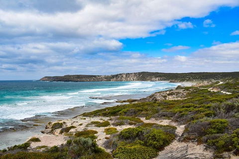 Kangaroo Island Luxury Small Group 'East End Explorer' Full Day Tour - Accommodation Brunswick Heads 0