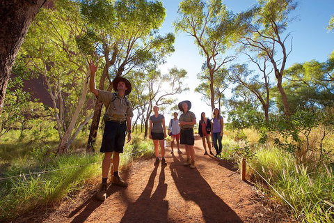 Uluru Small Group Tour Including Sunset - Accommodation Brunswick Heads 0