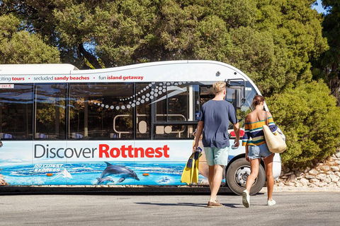 Discover Rottnest With Ferry & Bus Tour From Perth Or Fremantle - Accommodation Brunswick Heads 1