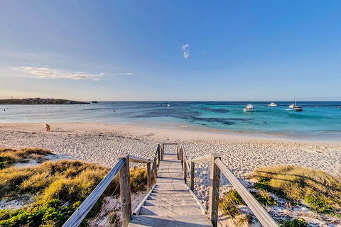 Discover Rottnest With Ferry & Bus Tour From Perth Or Fremantle - Accommodation Brunswick Heads 4
