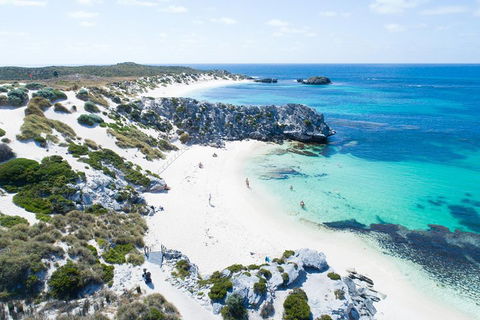 Discover Rottnest With Ferry & Bus Tour From Perth Or Fremantle - Accommodation Brunswick Heads 5