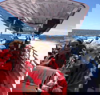 Adventure Rottnest Tour with Ferry  Adventure Cruise from Perth or Fremantle - Accommodation Brunswick Heads