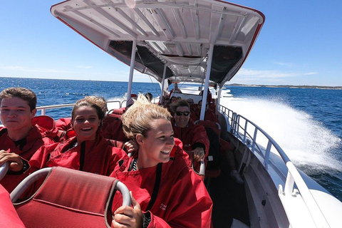 Adventure Rottnest Tour With Ferry & Adventure Cruise From Perth Or Fremantle - Accommodation Brunswick Heads 0