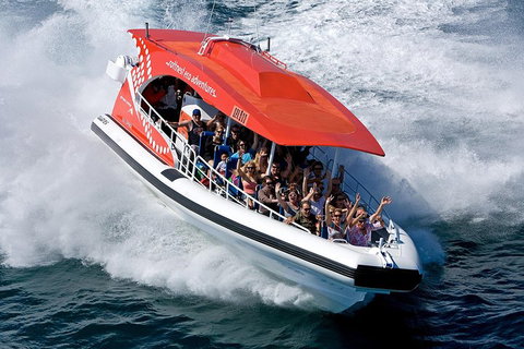 Adventure Rottnest Tour With Ferry & Adventure Cruise From Perth Or Fremantle - Accommodation Brunswick Heads 2