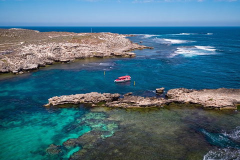 Adventure Rottnest Tour With Ferry & Adventure Cruise From Perth Or Fremantle - Accommodation Brunswick Heads 3