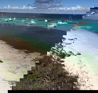 Experience Rottnest with Ferry  Bike Hire from Perth or Fremantle - Accommodation Brunswick Heads