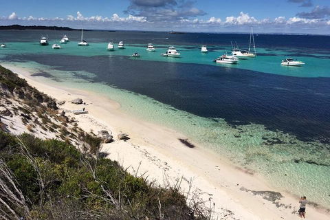 Experience Rottnest With Ferry & Bike Hire From Perth Or Fremantle - Accommodation Brunswick Heads 0