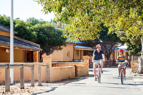 Experience Rottnest With Ferry & Bike Hire From Perth Or Fremantle - Accommodation Brunswick Heads 1